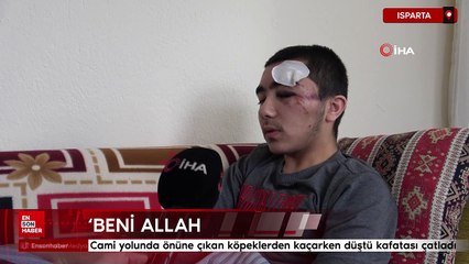 Isparta'da önüne çıkan köpeklerden kaçarken düştü kafatası çatladı