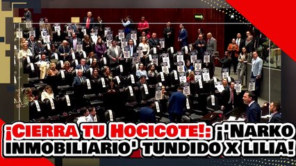 ¡CIERRA TU HOCICOTE! ¡MANDADERO del CÁRTEL INMOBILIARIO es ANIQUILADO x la DIPUTADA LILIA AGUILAR!