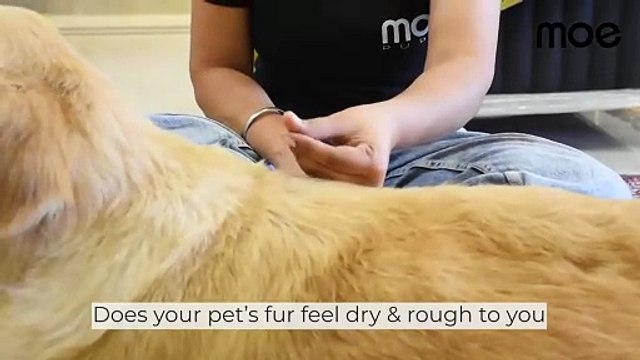 Moe 2-in-1 Shampoo & Conditioner (300ml)