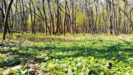 Why They Hate You More as Time Passes | The Truth About Their Resentment