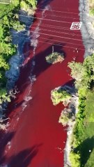 แม่น้ำอาร์เจนตินาเป็นสีเลือด! หวั่นสารพิษรุนแรง | PPTV Online