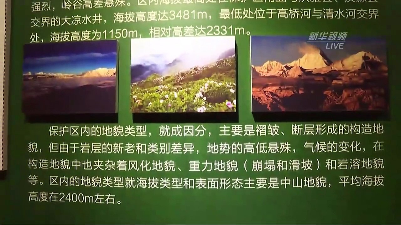 微博直播