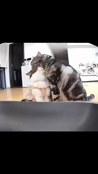 Hund bringt die Zeitung! 20250207