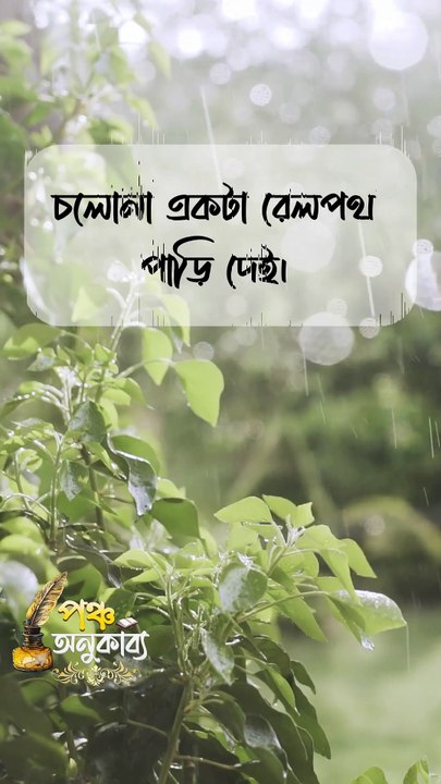 Reels | রেলপথের পাশ ধরে। আশা রোজমেরি। Pancha Anukabyo #panchaanukabyo #Romantic #KHOLA_CHITHI #reelschallenge