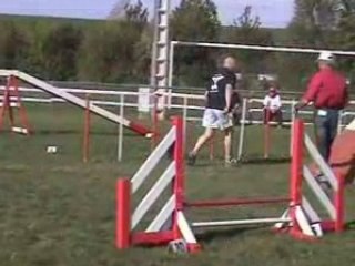 Rock Star Agility vice Champ Régional 3D 2008