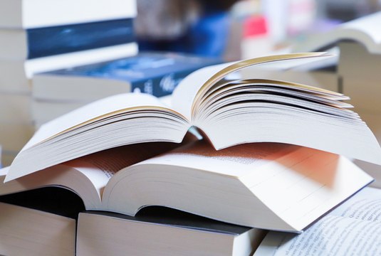 Rentrée littéraire d’hiver 2025 : 5 thrillers et polars à ne pas manquer