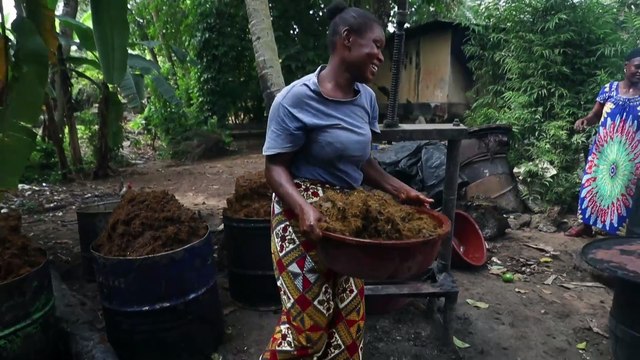 Ivory Coast, second largest producer of palm oil in Africa