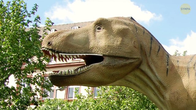 Plus de 100 faits fascinants sur les animaux sauvages dans lesquels je me suis plongé