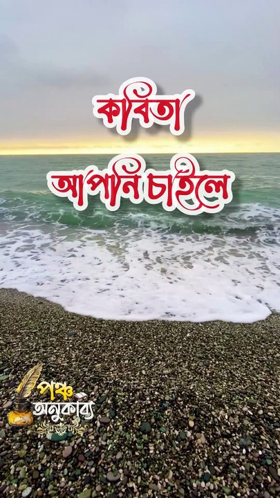 কবিতা | আপনি চাইলে। আশা রোজমেরি। Pancha Anukabyo #panchaanukabyo #Romantic #KHOLA_CHITHI #reelschallenge