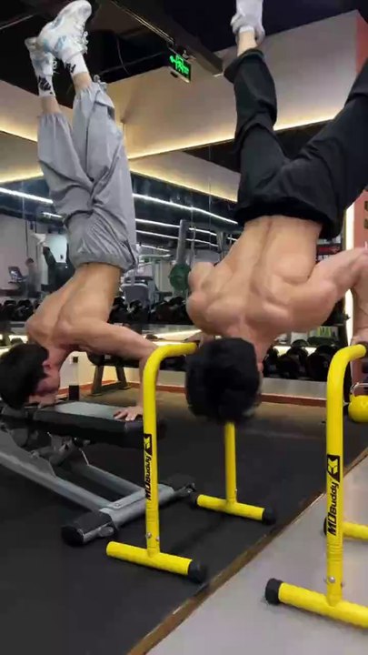 GYM Bro | Gym | Health and Fitness