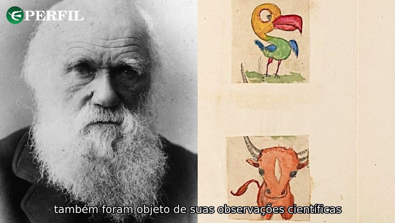 "Descobertas surpreendentes: os mistérios de Darwin, a tragédia do 11 de Setembro e ofertas imperdíveis!"