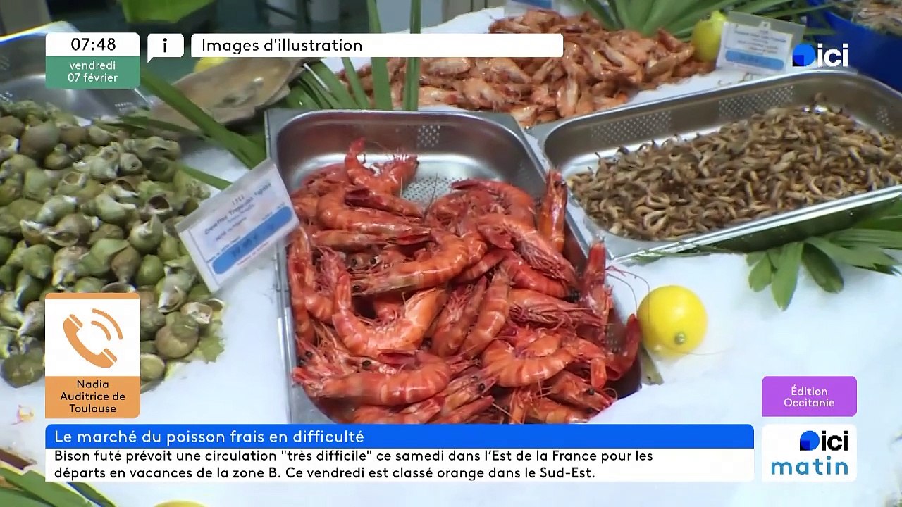 Pascal Bellocq, poissonnier au marché Victor Hugo de Toulouse