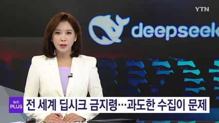 전 세계 딥시크 금지령...키보드 입력 패턴 등 과도한 수집이 문제 / YTN