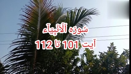 Surah Al Anbiya | Beautiful recitation of Surah Al Anbiya | quran recitation | Tilawat Al Anbiya |
