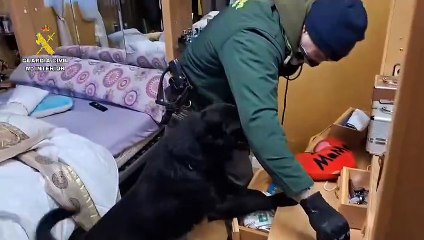 Desarticulado un grupo criminal dedicado a los robos de viviendas