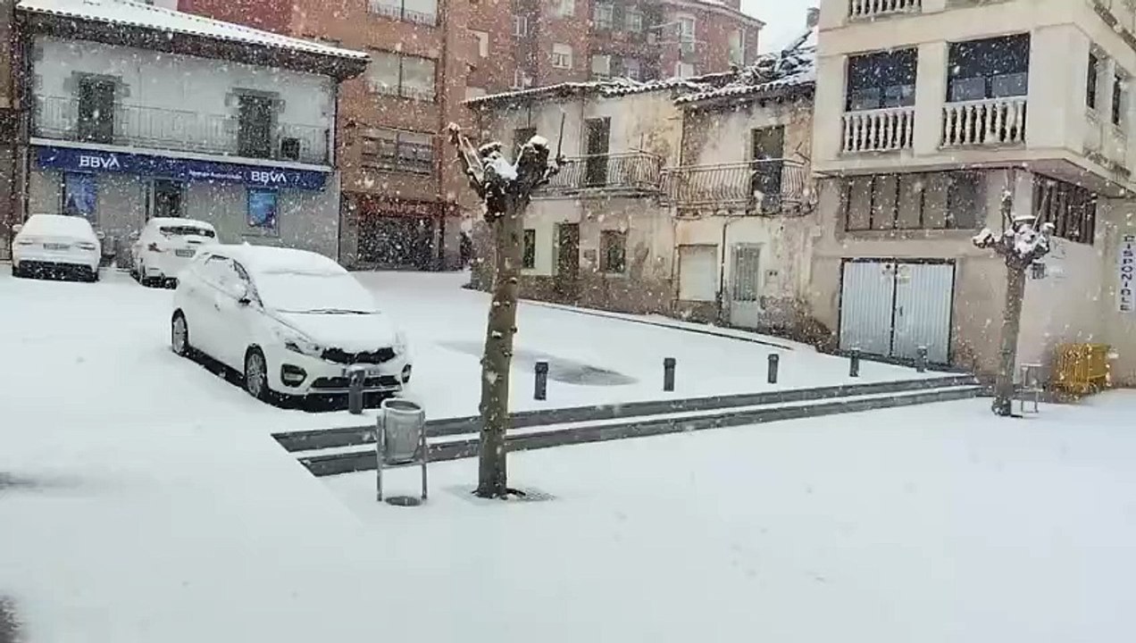 Nieve