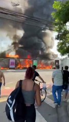 Avião de pequeno porte cai em avenida de SP