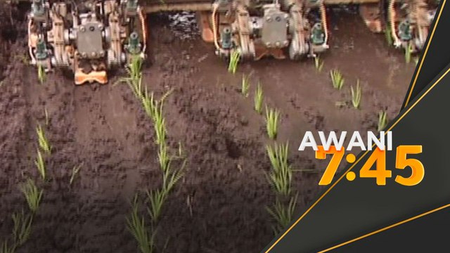 Isu beras, harga lantai padi diumum minggu depan