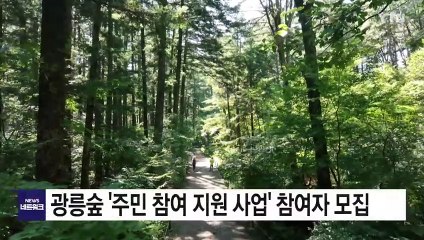 [경기] 광릉숲 '주민 참여 지원 사업' 참여자 모집 / YTN