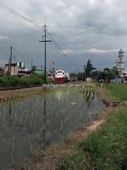 Bisa Aja Ehh Dodol 😂😂😂