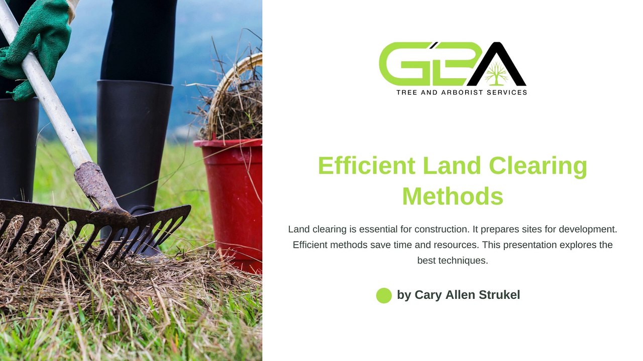What Are the Best Methods for Efficient Land Clearing