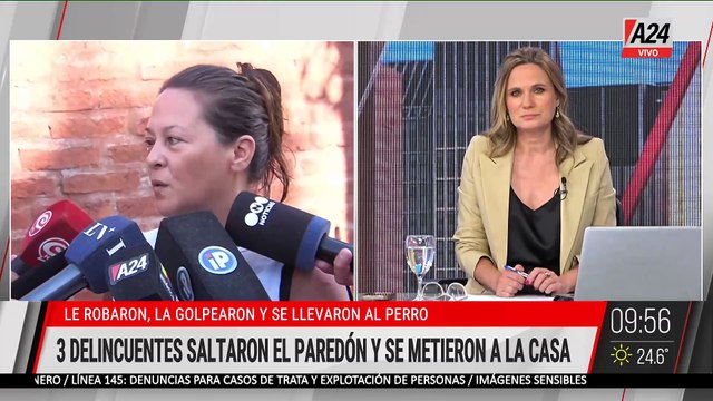 ROBO EN JOSÉ C. PAZ: LE ROBARON, LA GOLPEARON, MANOSEARON Y SE LLEVARON AL PERRO