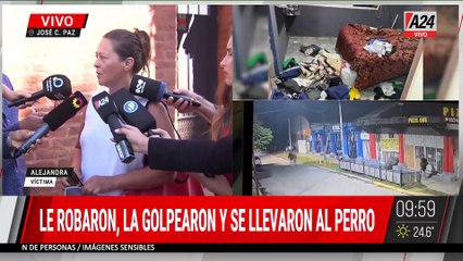 🚨 LA GOLPEARON, MANOSEARON Y SE LLEVARON AL PERRO EN UN VIOLENTO ROBO JOSÉ C. PAZ
