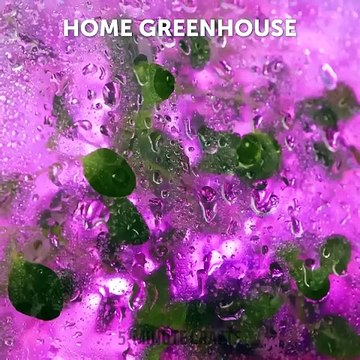 Hacks Beyond the Kitchen: Explore innovative solutions for everyday challenges