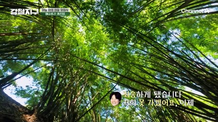 ♨자칭 타칭 캠핑 고수 은미x보람♨ 그녀들의 얼렁뚱땅 산속에서의 하룻밤!