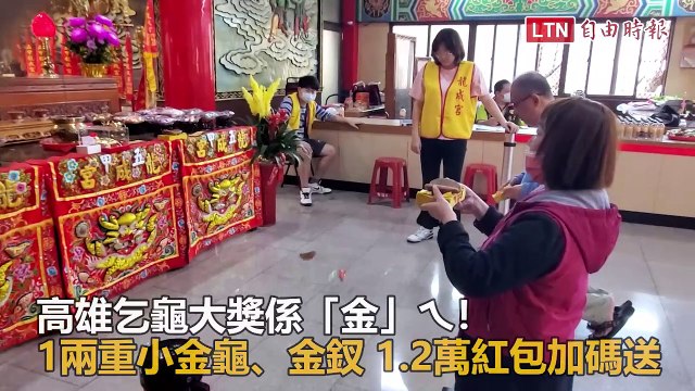 高雄乞龜大獎係「金」ㄟ！1兩重小金龜、金釵 1.2萬紅包加碼送