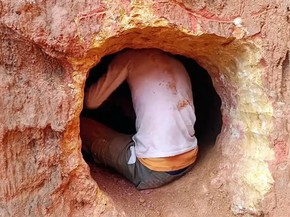 Incredible Wilderness Survival – Man Builds Underground Bunker for Overnight Camping 🌲🏕️