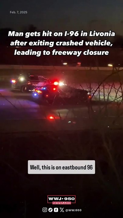Man hit by cat while on foot on I-96 in Livonia