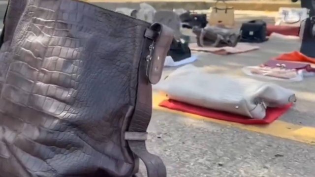 Incautan bolsos avaluados en 820 millones de pesos estaban hechos con animales sacrificados