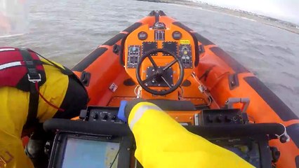 Golden retriever é resgatada a 300m da costa após entrar no mar e ficar à deriva