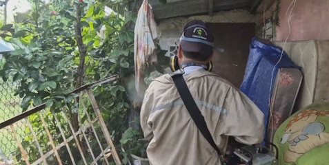 Dengue en Panamá: un desafío creciente para la salud pública