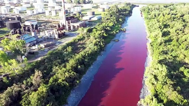 Las aguas de un arroyo de Buenos Aires bajan teñidas de rojo