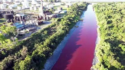 Las aguas de un arroyo de Buenos Aires bajan teñidas de rojo