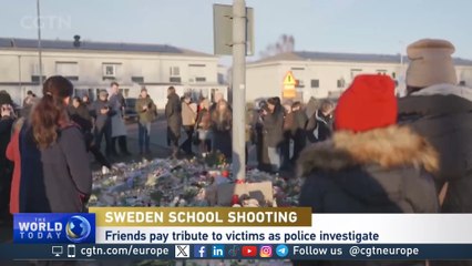 Sweden's deadliest mass shooting sparks debate on gun laws and extremism