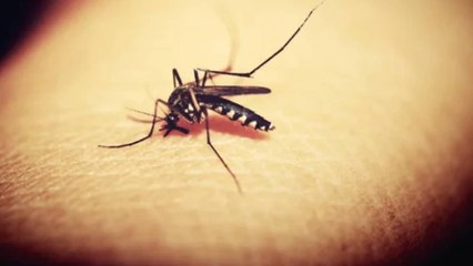 Alerta en Barranquilla por brote de dengue: joven de 15 años falleció por la enfermedad