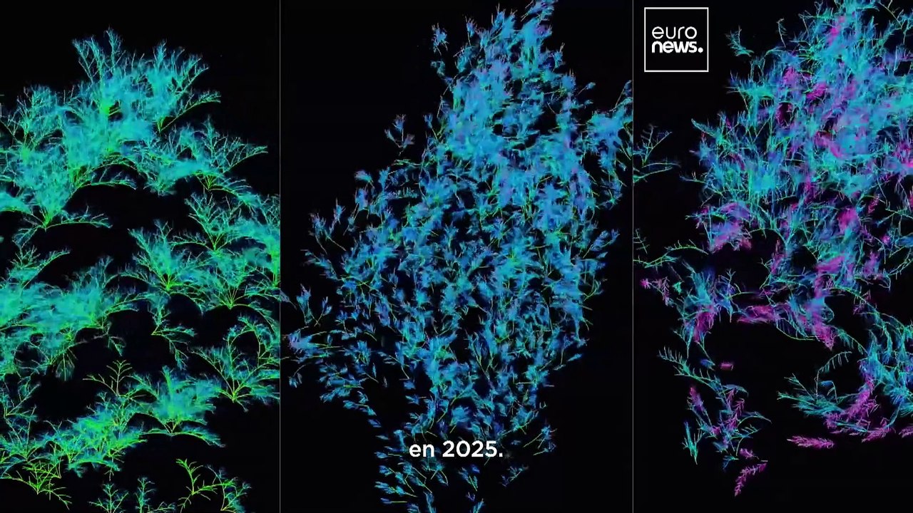 El artista italiano Quayola da nueva vida a la Casa Batlló de Gaudí con su espectáculo de luz 'Arborescente'