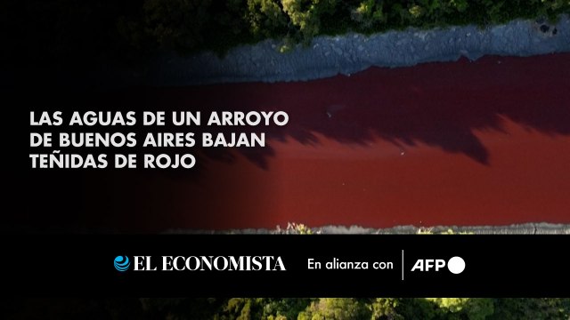 Las aguas de un arroyo de Buenos Aires bajan teñidas de rojo