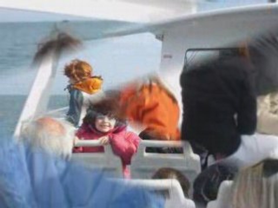 Nos vacances en  Bretagne  avril 2008