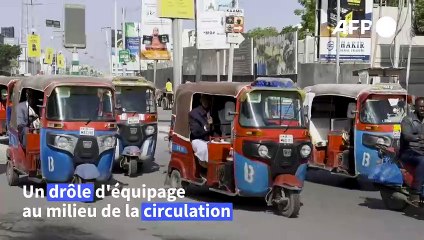 Galoper à travers Mogadiscio: le "rêve" éveillé de la première cavalière somalienne
