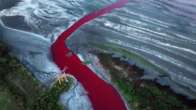 Brasilien: Roter Fluss weckt Ängste vor Verschmutzung