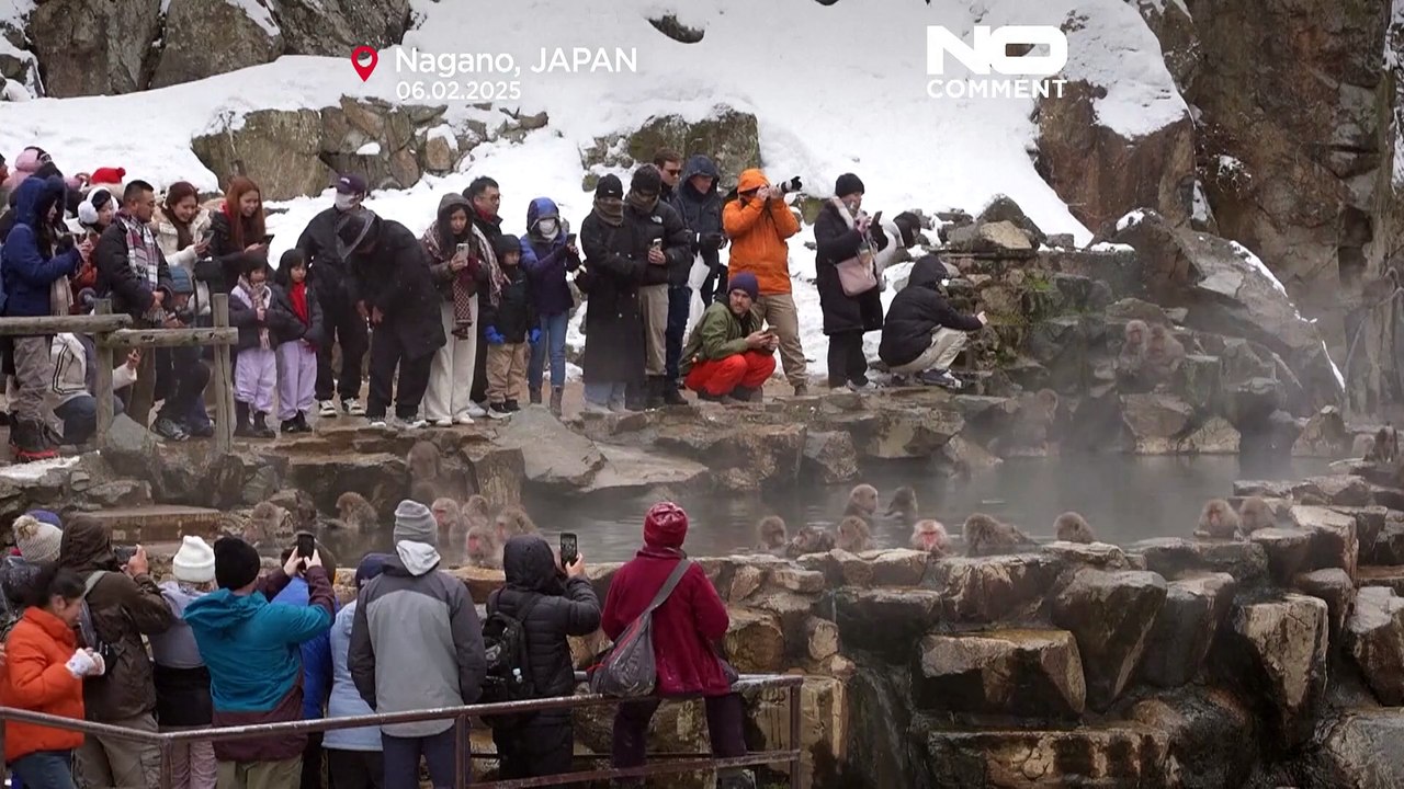 Sorge um die Affen: Rekordbesucherzahlen bei Japans heißen Quellen