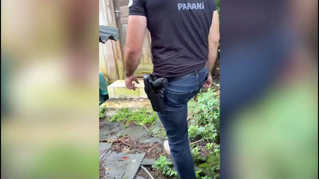 Polícia resgata 130 cães em condições deploráveis em canil comercial no Paraná, mulher é presa