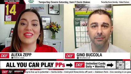 Previewing Sam F. Davis Race & More at Tampa Bay Downs