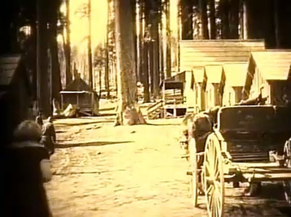 Wolf Blood (1925) - Full movie