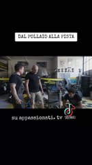 Dal pollaio alla pista