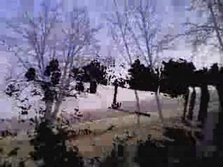 ballade en cimetière